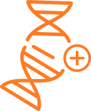 Icon of a DNA strand with a plus sign